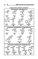 Репетитор по биологии для старшеклассников и поступающих в вузы — фото, картинка — 24