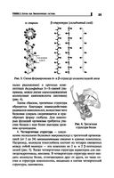 Репетитор по биологии для старшеклассников и поступающих в вузы — фото, картинка — 25