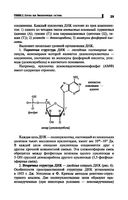 Репетитор по биологии для старшеклассников и поступающих в вузы — фото, картинка — 29