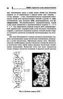 Репетитор по биологии для старшеклассников и поступающих в вузы — фото, картинка — 30