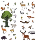 Найди и покажи. На природе — фото, картинка — 6