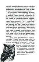 С вечера до утра — фото, картинка — 12