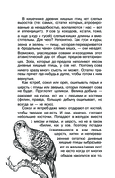 С вечера до утра — фото, картинка — 14