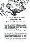 С вечера до утра — фото, картинка — 8