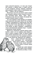 С вечера до утра — фото, картинка — 10