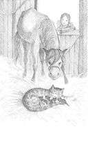 Котёнок Пушинка, или Рождественское чудо — фото, картинка — 9