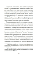 Штаны господина фон Бредова — фото, картинка — 19