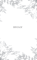 Тайное бюро иллюзий. Канун летнего солнцестояния. Книга 2 — фото, картинка — 6