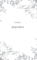 Тайное бюро иллюзий. Канун летнего солнцестояния. Книга 2 — фото, картинка — 14