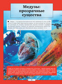 Подводный мир — фото, картинка — 3