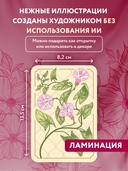 Метафорический портрет. Какое ты растение. Метафорические ассоциативные карты Анны Быковой — фото, картинка — 3