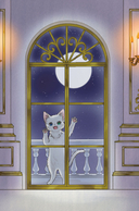 Апельсиновая кошка — фото, картинка — 10