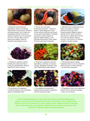 Энциклопедия современной русской кухни. Новое издание — фото, картинка — 11