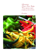 Энциклопедия современной русской кухни. Новое издание — фото, картинка — 5