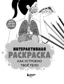 Как устроено твое тело. Интерактивная раскраска — фото, картинка — 1