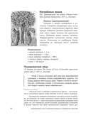 Средневековая кухня — фото, картинка — 6