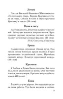Сборник диктантов по русскому языку. 2-4 классы — фото, картинка — 8