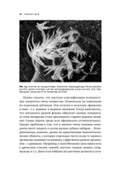 Как живые: двуногие змеи, акулы-зомби и другие исчезнувшие животные — фото, картинка — 24