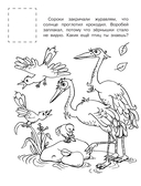 Краденое солнце — фото, картинка — 5