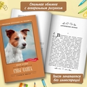 Сны Чанга. Рассказы и повести — фото, картинка — 1