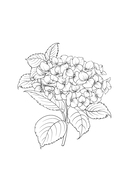 Уникальные цветы — фото, картинка — 6