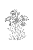 Уникальные цветы — фото, картинка — 8