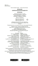 Японизм — фото, картинка — 24