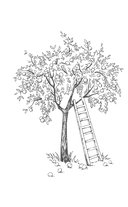 Яблоня, вишня, слива и другие плодовые. Плодотворный сезон — фото, картинка — 4