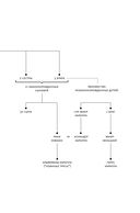 Стыд — фото, картинка — 9