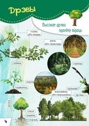 Расліны Беларусі. Узбагачаем слоўнікавы запас, выконваем заданні, пашыраем кругагляд — фото, картинка — 1