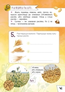 Расліны Беларусі. Узбагачаем слоўнікавы запас, выконваем заданні, пашыраем кругагляд — фото, картинка — 3