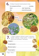 Расліны Беларусі. Узбагачаем слоўнікавы запас, выконваем заданні, пашыраем кругагляд — фото, картинка — 4