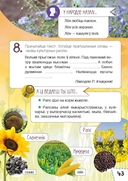 Расліны Беларусі. Узбагачаем слоўнікавы запас, выконваем заданні, пашыраем кругагляд — фото, картинка — 5