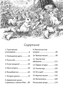 Книжный лес — фото, картинка — 2