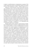 Одинокая ласточка — фото, картинка — 17