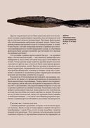 Римские мифы. Боги, герои, злодеи и легенды Древнего Рима — фото, картинка — 18