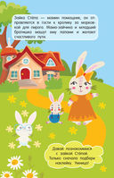 Зайка Стёпа — фото, картинка — 1