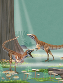 Динозавры каждый день — фото, картинка — 16