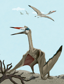 Динозавры каждый день — фото, картинка — 18