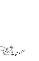 Тайны русского языка. Орфографический детектив — фото, картинка — 11