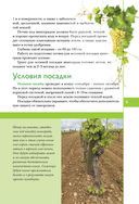 Виноград. Секреты выращивания для любого региона — фото, картинка — 3