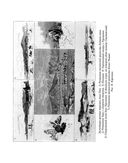 На далеких окраинах. Погоня за наживой — фото, картинка — 12