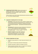 Дневник дачника — фото, картинка — 5