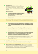 Дневник дачника — фото, картинка — 6