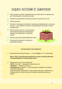 Дневник дачника — фото, картинка — 7