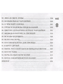 Клятвы мертвых птиц — фото, картинка — 4