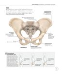 Анатомия и физиология йоги. Совершенствование практики ключевых асан — фото, картинка — 12