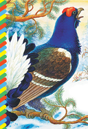 Сказки о животных — фото, картинка — 2