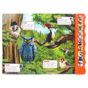 Кто живёт в лесу? — фото, картинка — 3