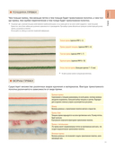 Японский курс вязания крючком. Техники и приемы, условные обозначения, чтение схем, 10 проектов — фото, картинка — 11